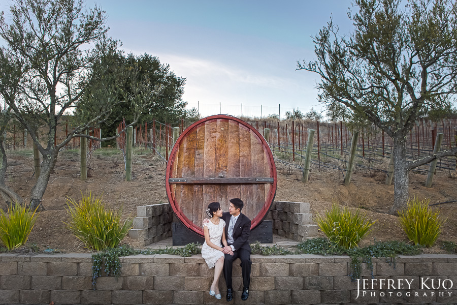 mountain_winery_wedding_0073_portraits