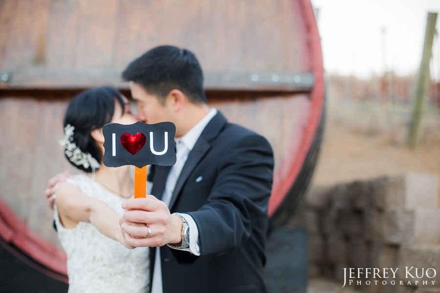 mountain_winery_wedding_0077_portraits